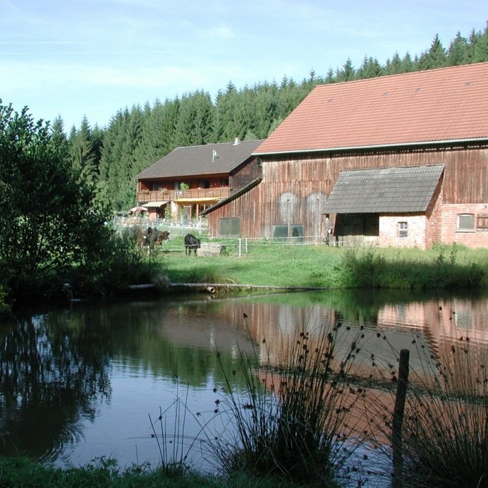 Löschteich an der Götzenmühle